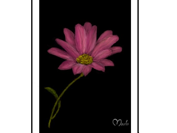 ptr totzi cei carora le plac florile