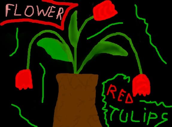 Red Tulips