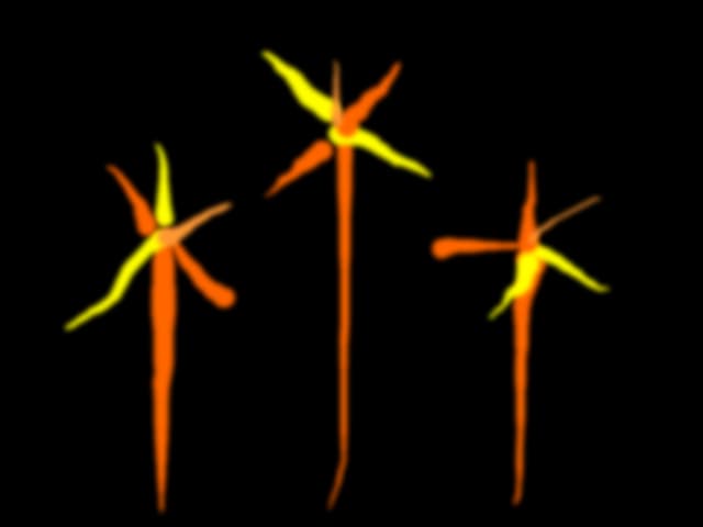 Fireworks