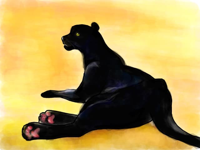 black jaguar