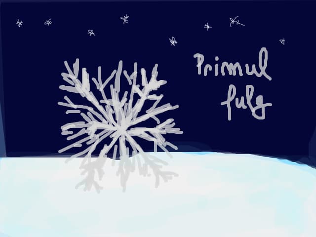 Primul Fulg