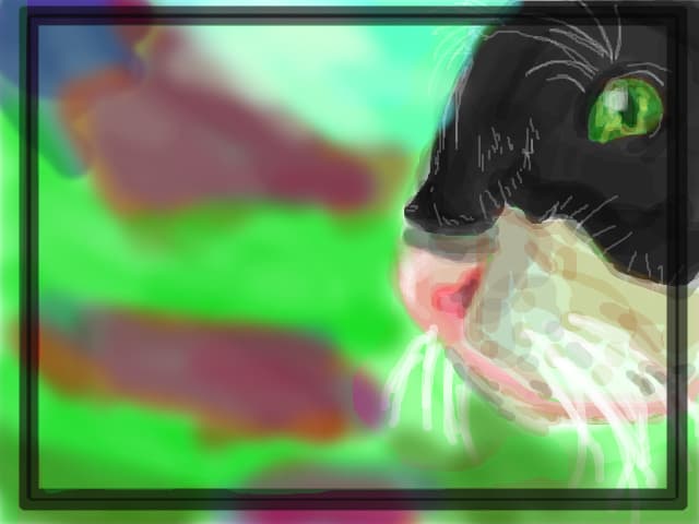 Miau! pt BrokenRose