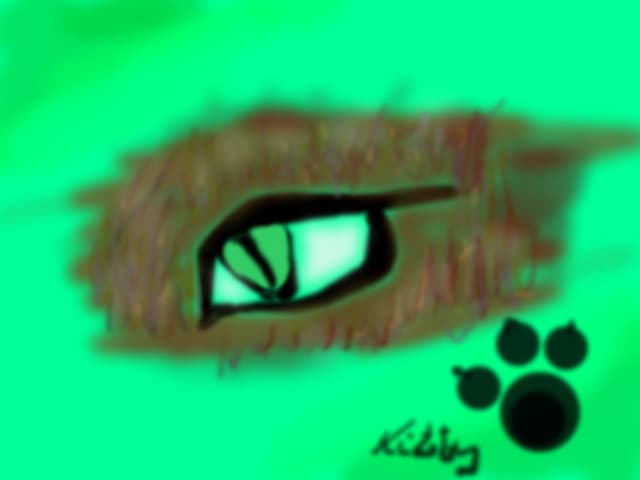 kitty