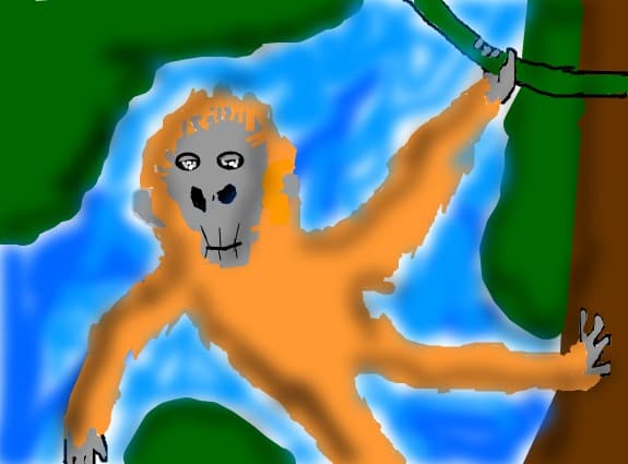 urangutan