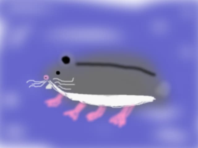 hamsterul meu (adevarat),Pufisor