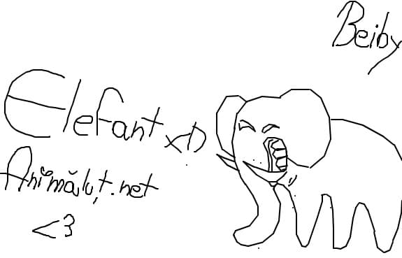 Animalut.net =]]