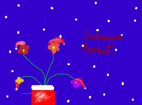 chiar si florile ador craciunul
