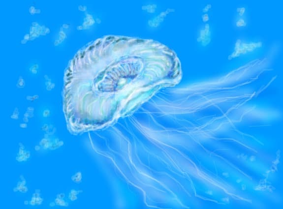 MEDUZA