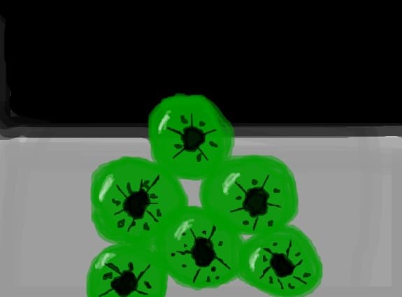 felii de kiwi