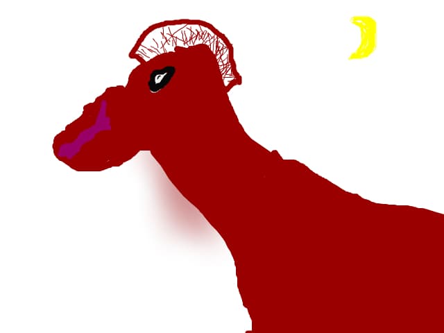 horse