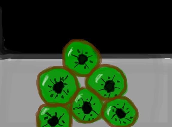 felii de kiwi