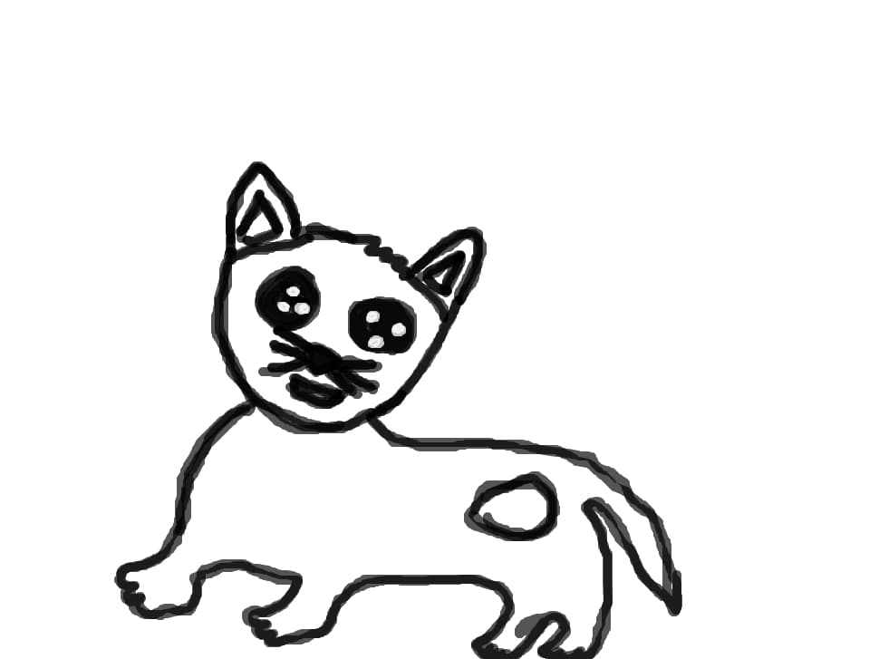 pisica