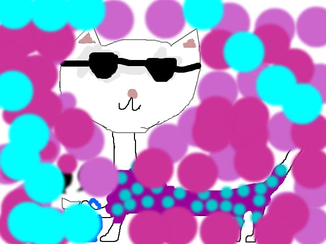 fashon cat