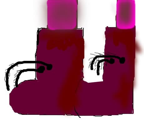 bocanci
