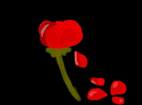 A love Rose