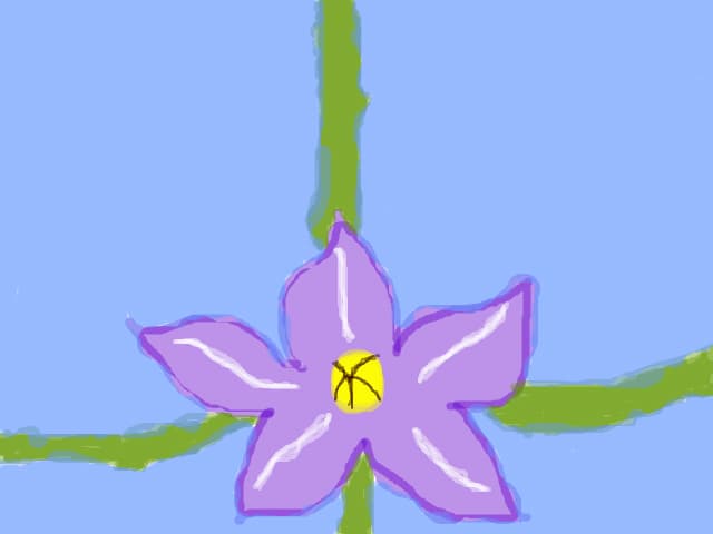 floare in fereastra