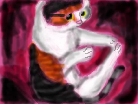 kitty