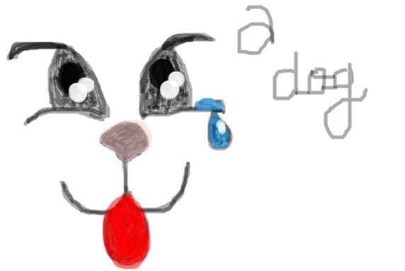 face a dog