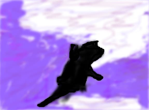 Cat:3
