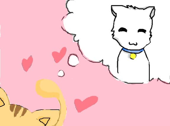 kitty love