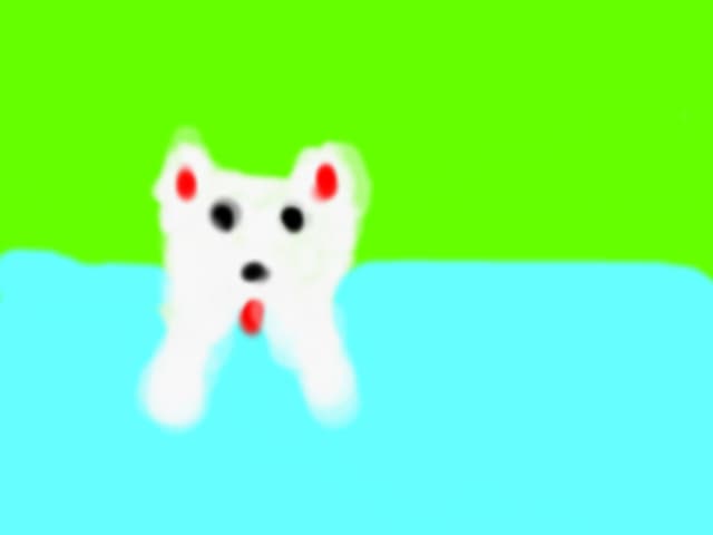Cutu