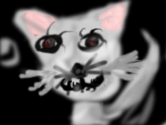 kiity