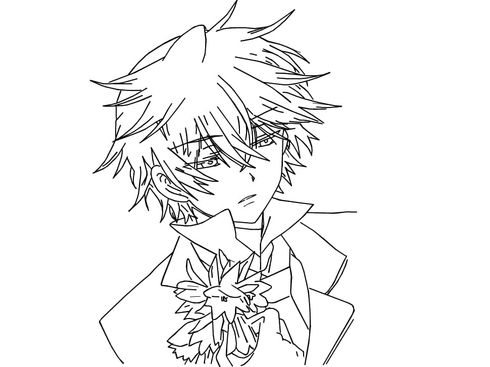 Pandora Hearts