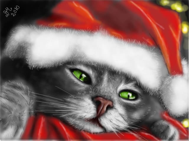 waiting for Santa....hm...