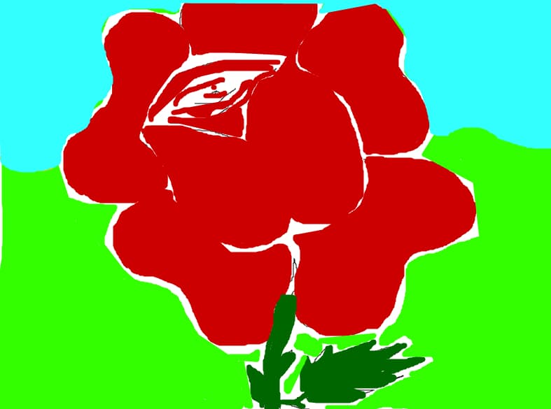 rose