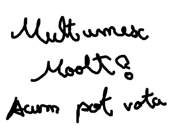 Multumesc mooooolt