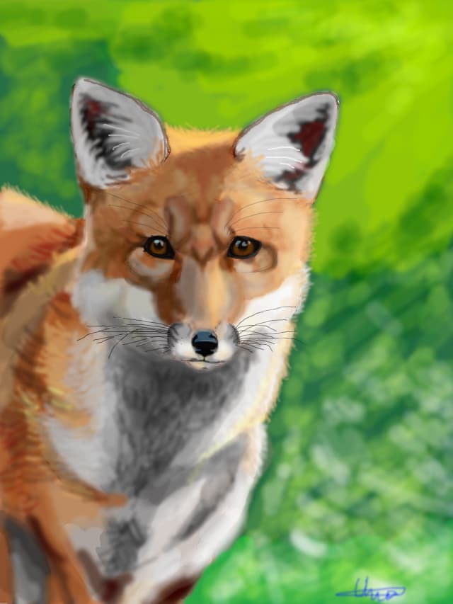 Foxy