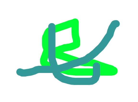 rafael boss