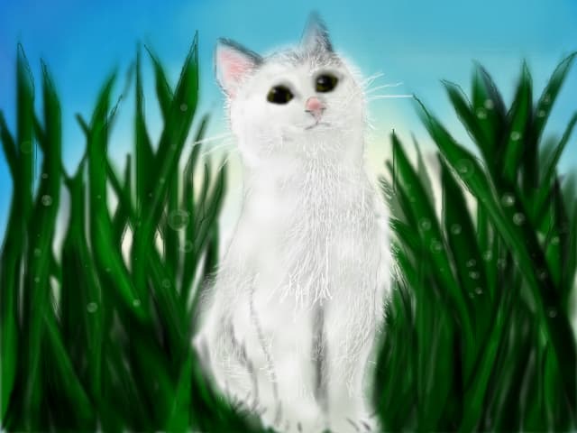 Pisoiul meu :))