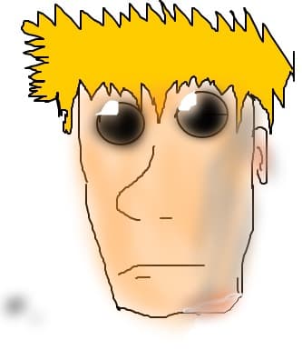 Chip