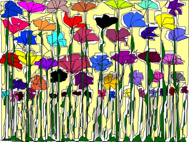 O floare ....O raza de soare