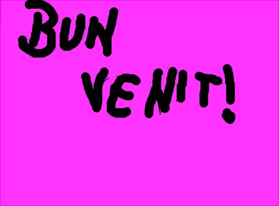 bun venit!