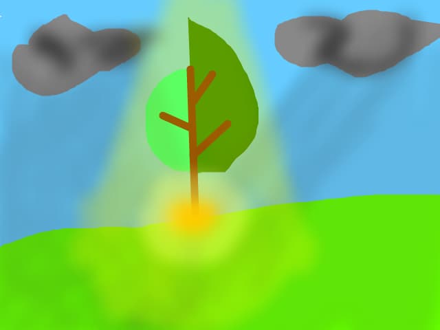 pomu magik