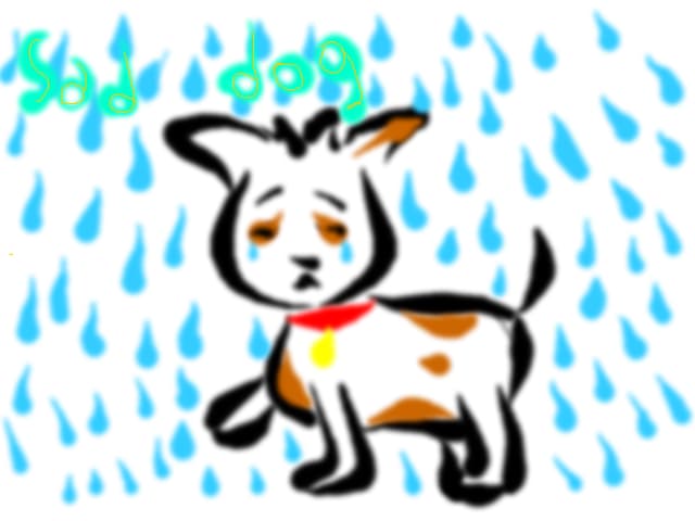 sad dog