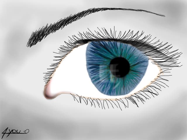 eye