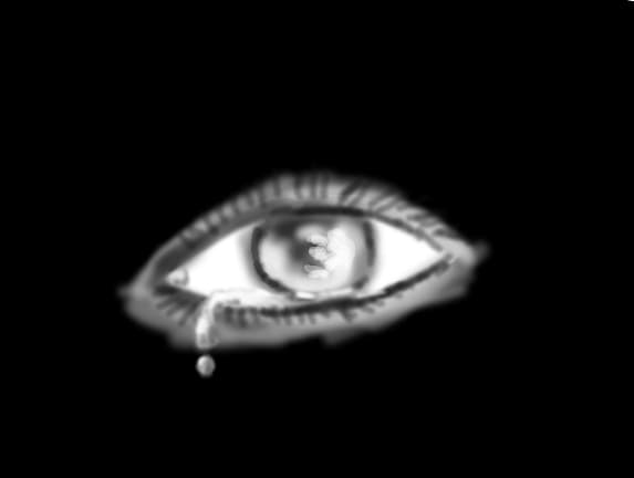 13.