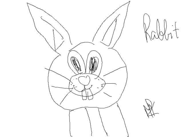 a rabbit