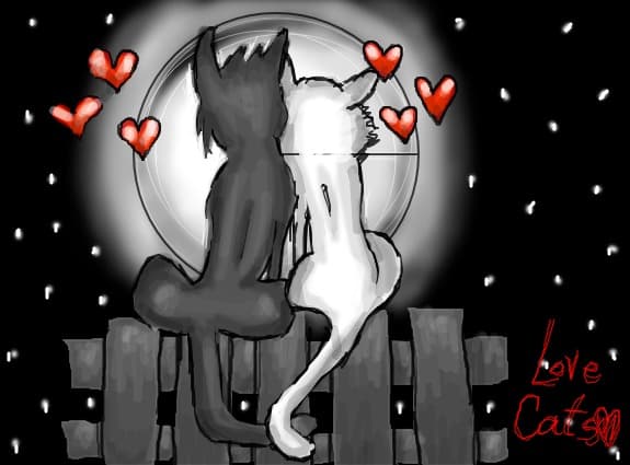 Love Cats