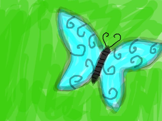 blue butterfly