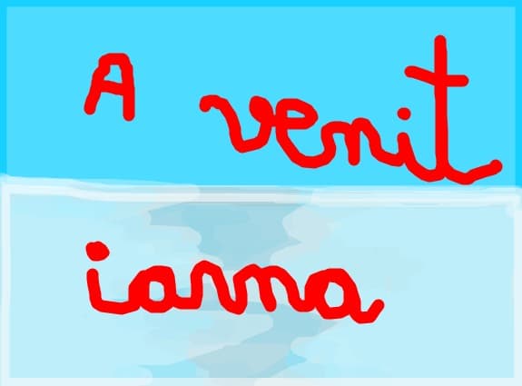 a vnt iarna