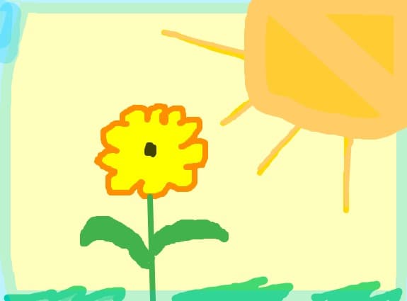 floare si soare
