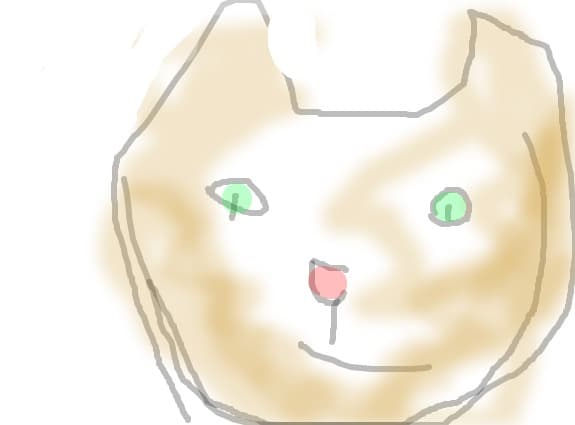 miau