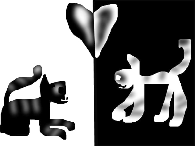yng &amp; yang