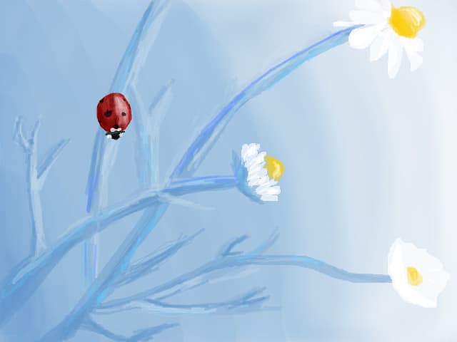Lady bug