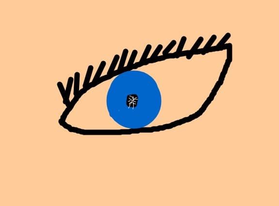 ochi