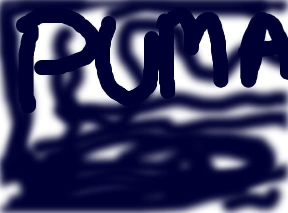 puma